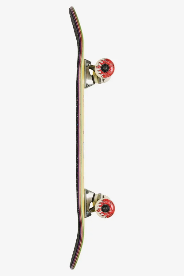 Globe Brand Environmentalist Micro - - 6.5